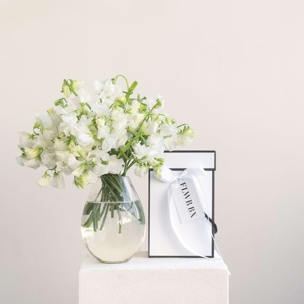 Sweet Pea- Seasonal