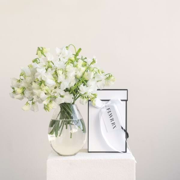 Sweet Pea- Seasonal 
