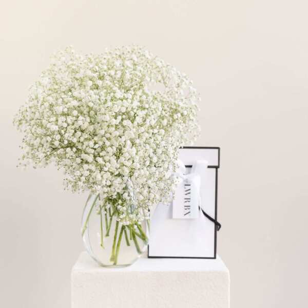 Baby's Breath