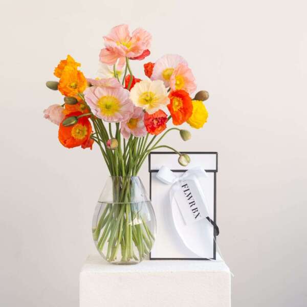 Poppies- Seasonal