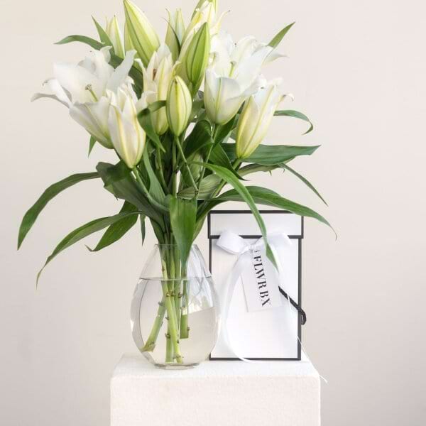 Oriental Lilly